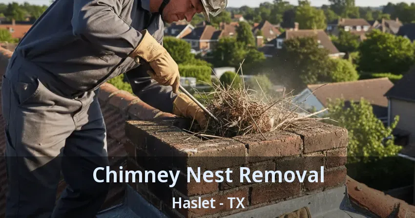 Chimney Nest Removal Haslet - TX