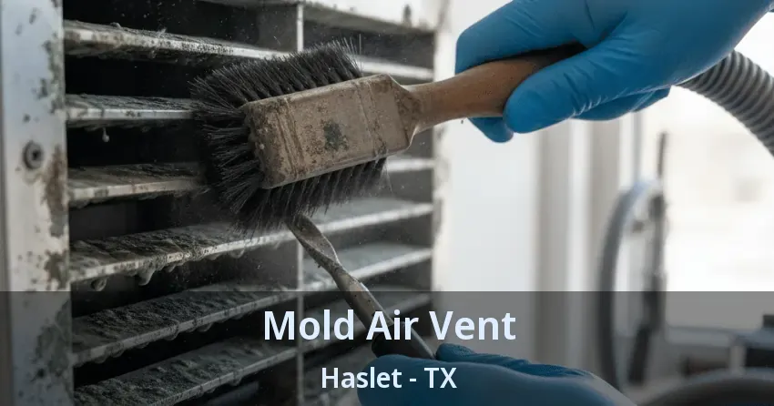 Mold Air Vent Haslet - TX Mold Air Vent Haslet - TX