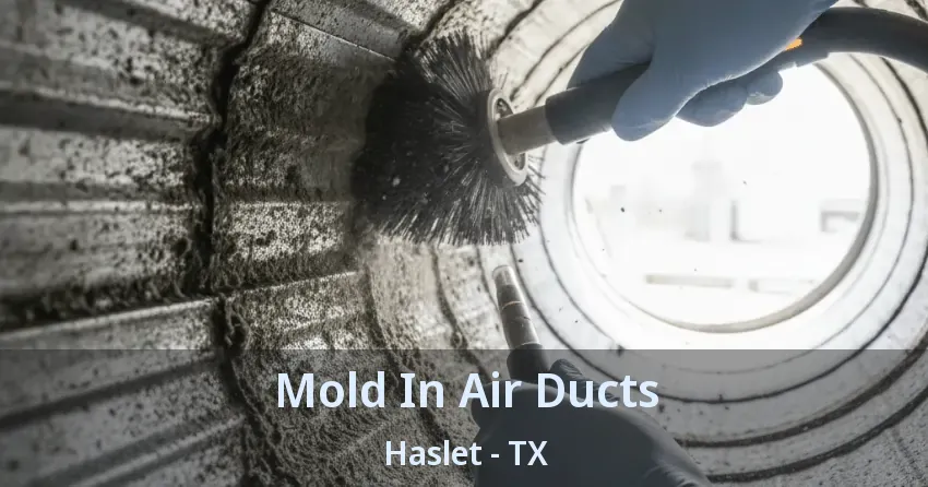 Mold In Air Ducts Haslet - TX