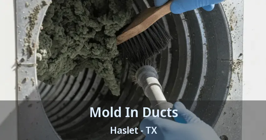 Mold In Ducts Haslet - TX
