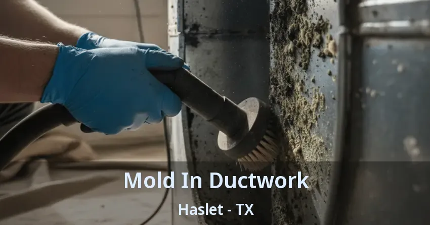 Mold In Ductwork Haslet - TX