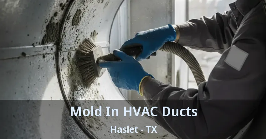 Mold In HVAC Ducts Haslet - TX