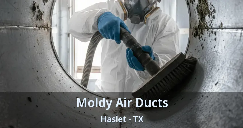 Moldy Air Ducts Haslet - TX